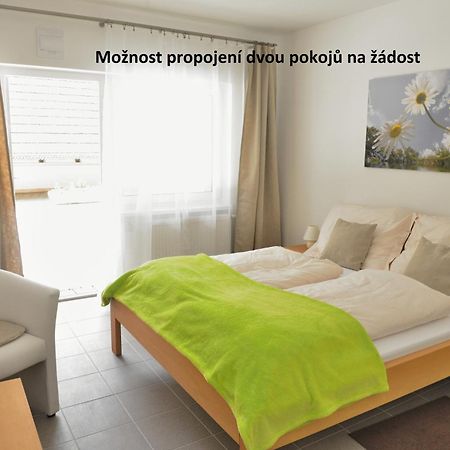 Penzion A Restaurace Pintovka 塔博尔 外观 照片